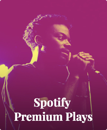 artists promotion on spotify